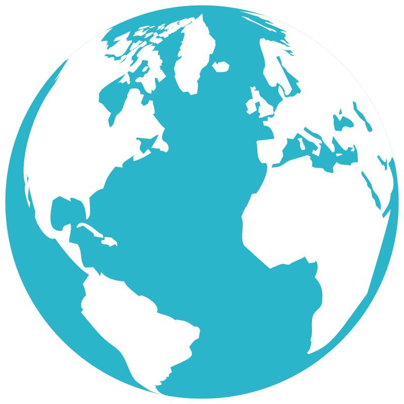 globe icon