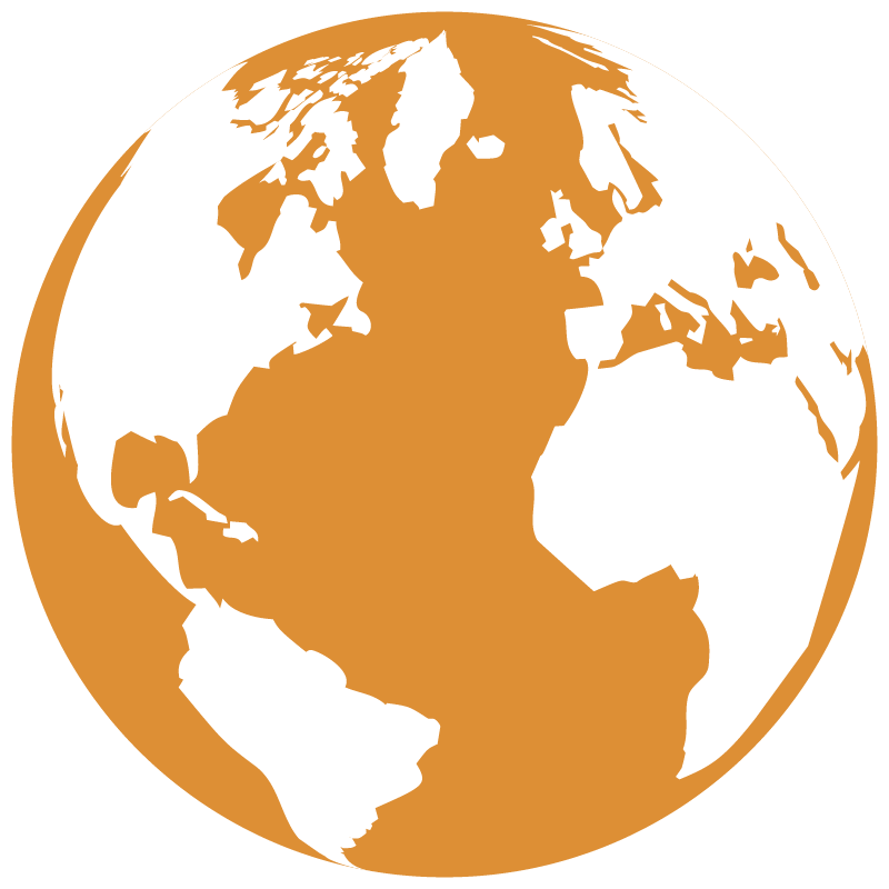 globe icon orange