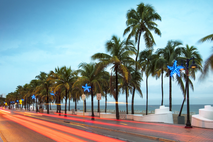 Ft Lauderdale ocean palm trees