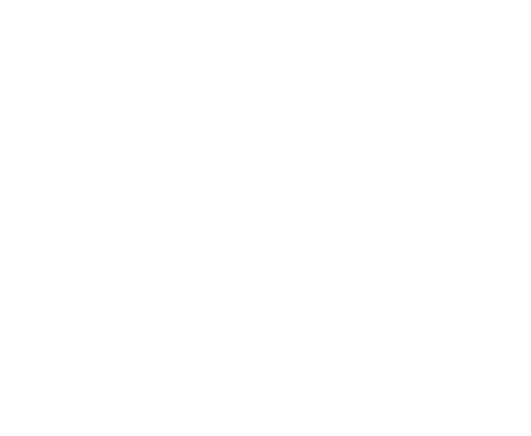 IPW 2027 logo