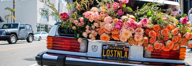 Trunk of a car full of flowers