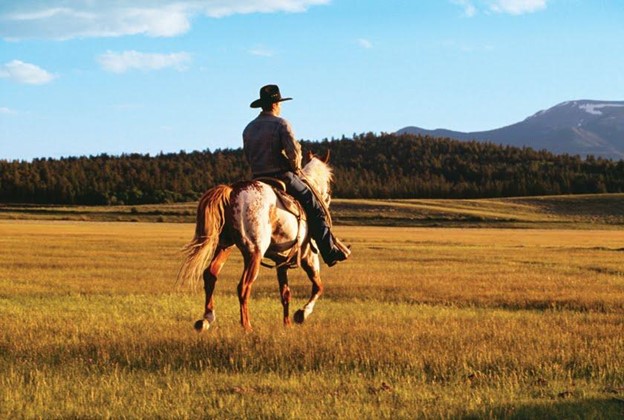 Cowboy on a horse on an open plain
