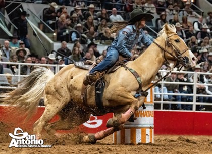 Rodeo horse and rider