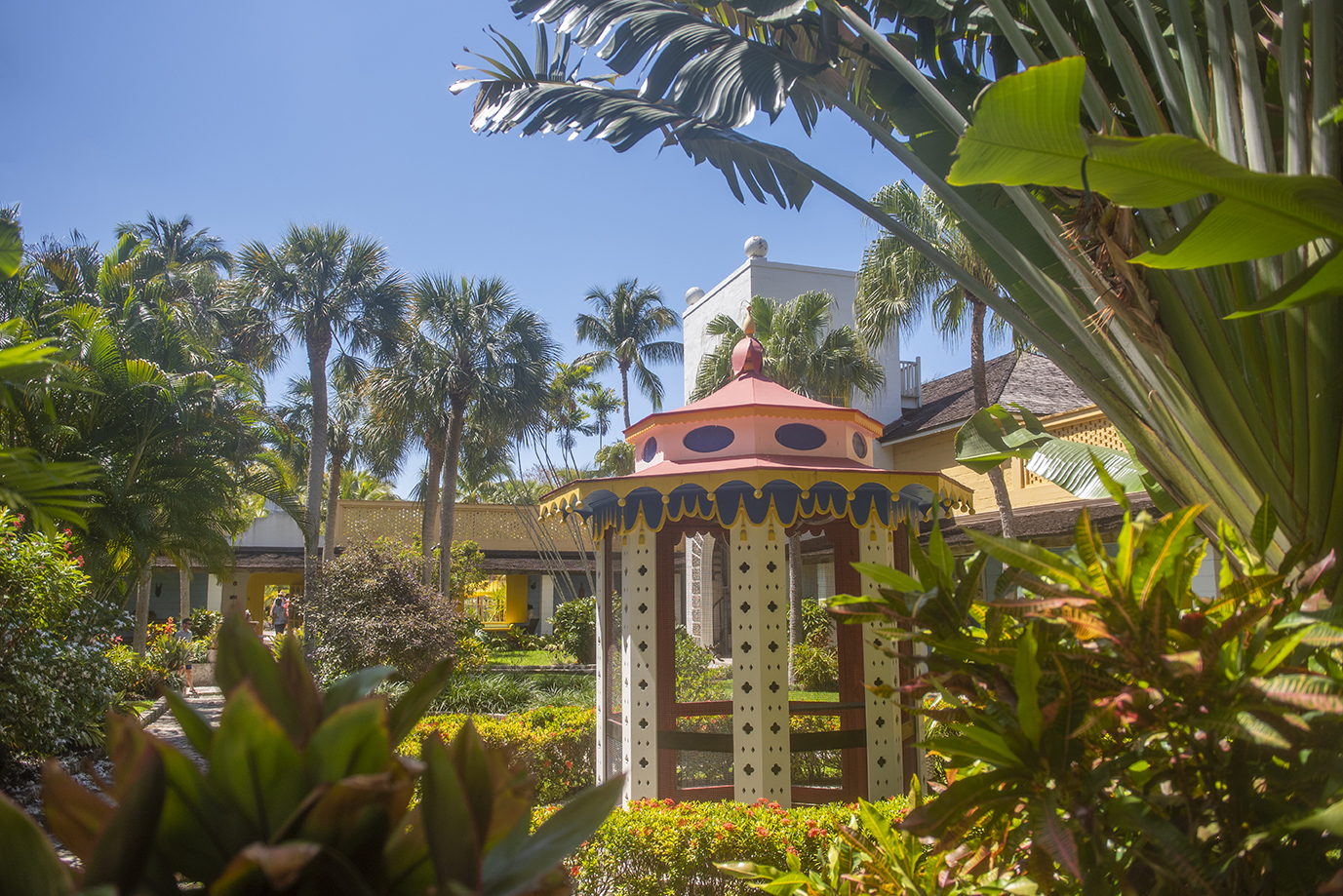 Charming gazebo with palm trees and tropical plants