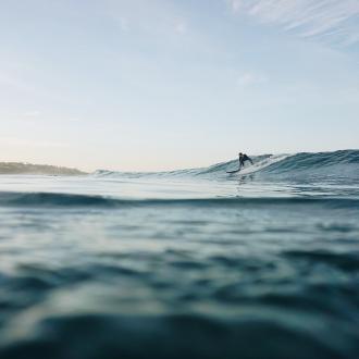 Surfer on a wave
