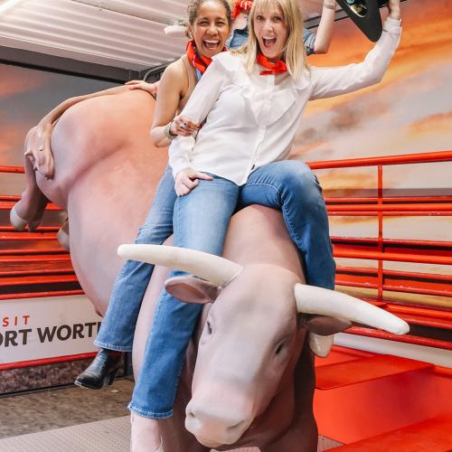 IPWD23 DH Bull Riding
