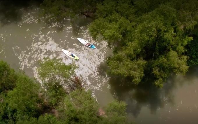 Kayaks on the river