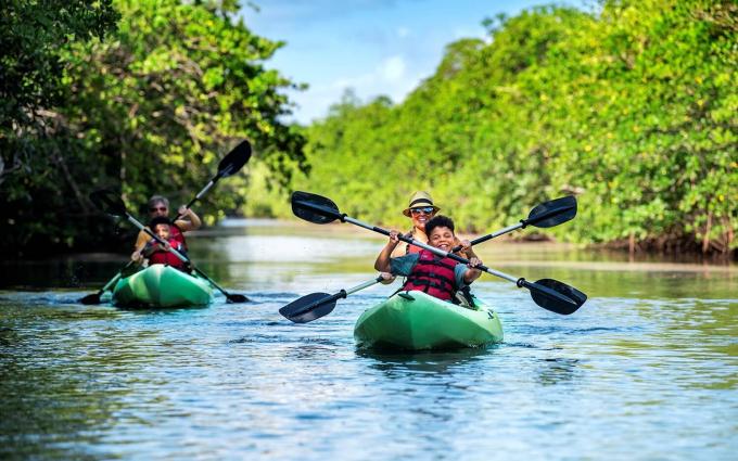 People in kayaks
