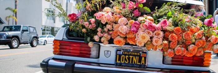 Flowers in the trunk of a car